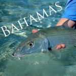Bahamas_Text_01
