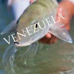 Venezuela_Text_01
